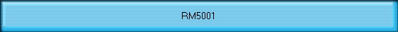 RM5001
